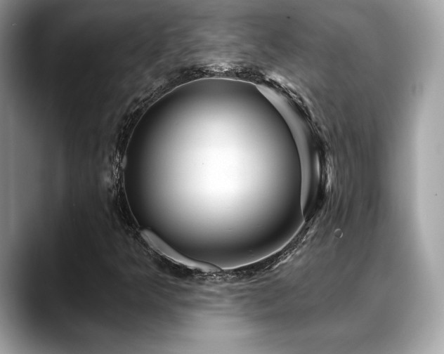 X0000088731349200705311421