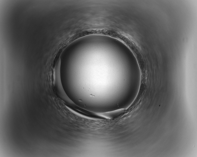 X0000088731350200705311421