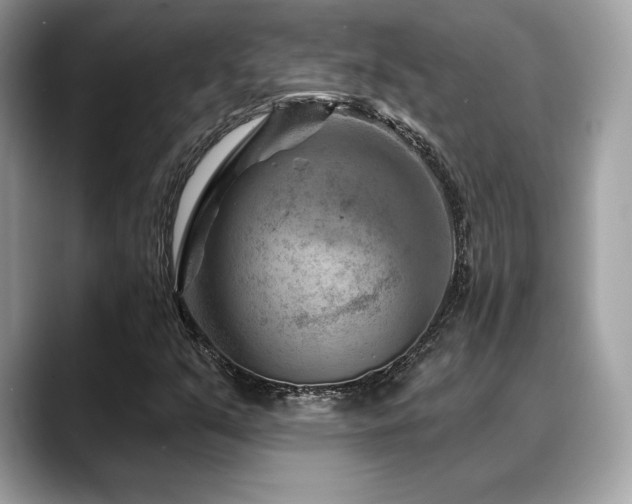 X0000088731351200705311421