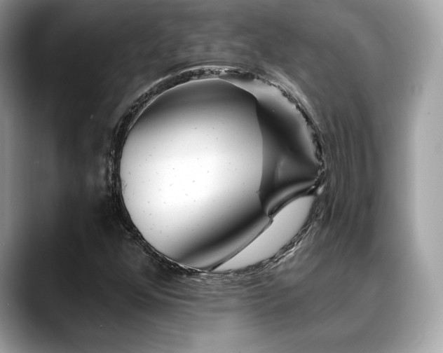 X0000088731352200705311421