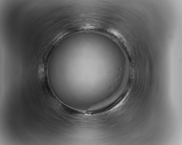 X0000088731353200705311421