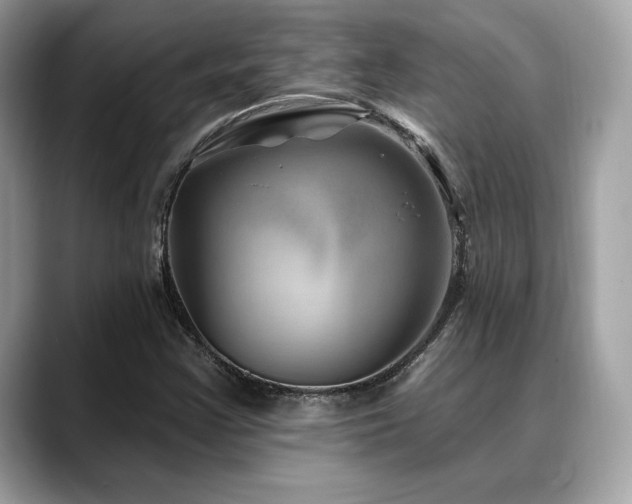 X0000088731355200705311421