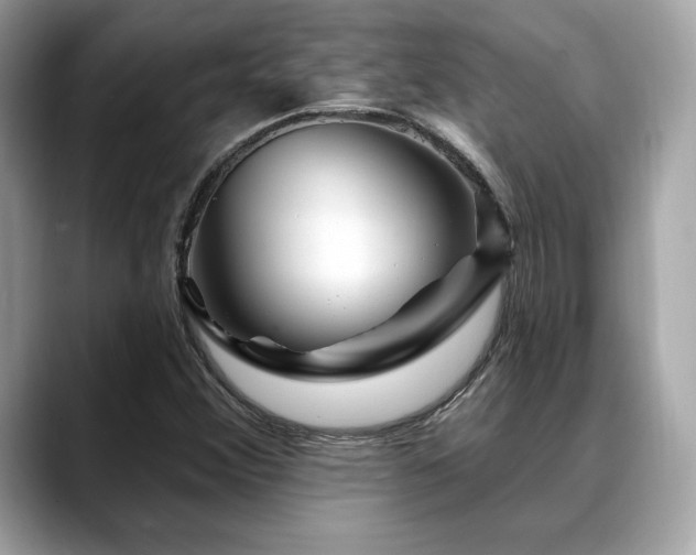 X0000088731356200705311421