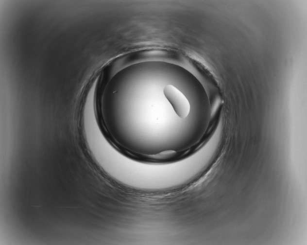 X0000088731357200705311421