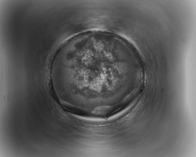 X0000088731359200705311421