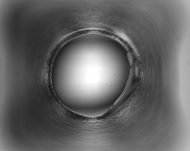 X0000088731360200705311421