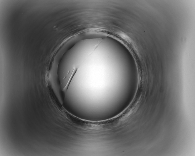 X0000088731361200705311421