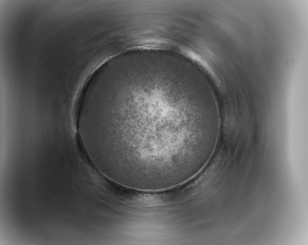 X0000088731362200705311421