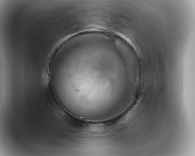 X0000088731363200705311421