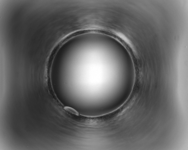 X0000088731364200705311421