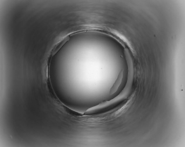 X0000088731365200705311421