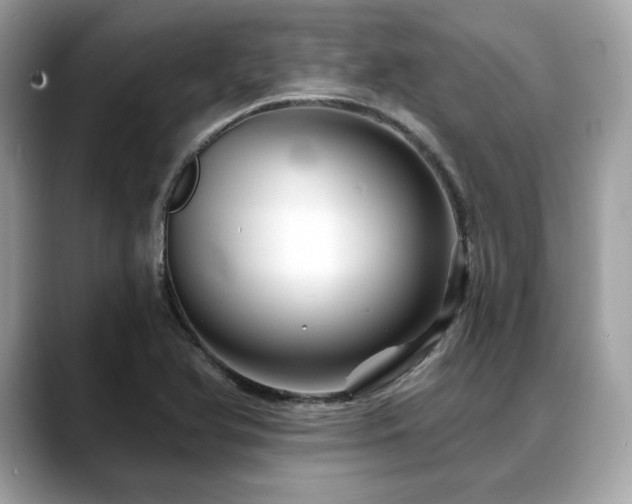 X0000088731366200705311421