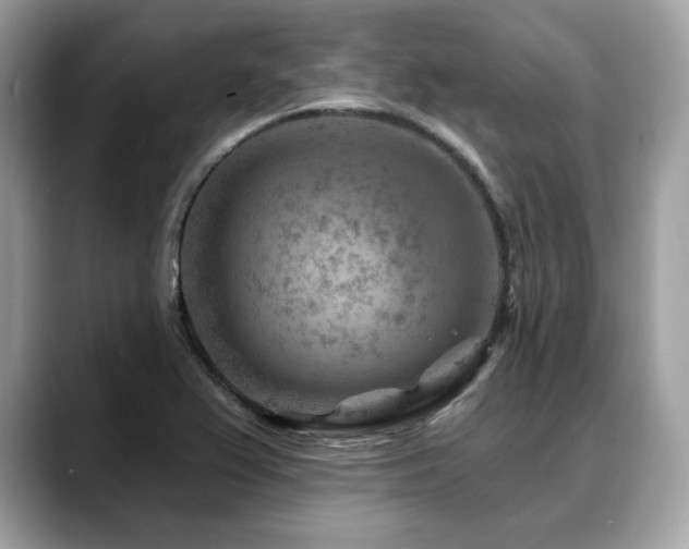 X0000088731367200705311421