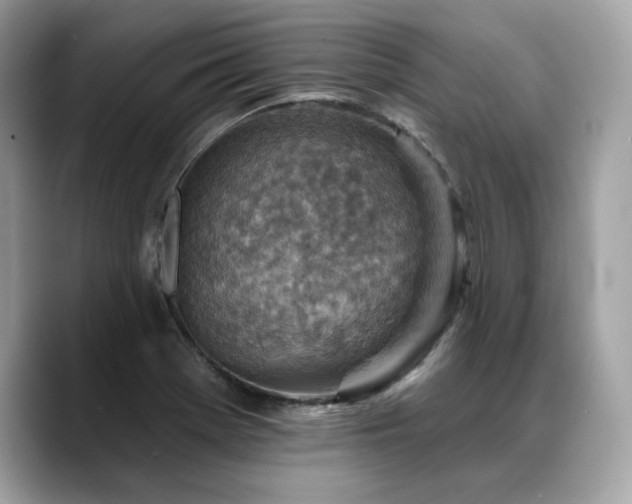 X0000088731369200705311421