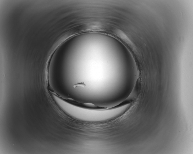 X0000088731370200705311421