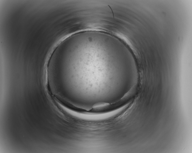 X0000088731371200705311421