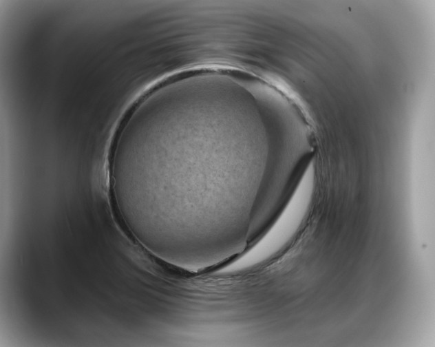 X0000088731372200705311421