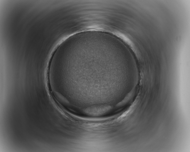 X0000088731373200705311421