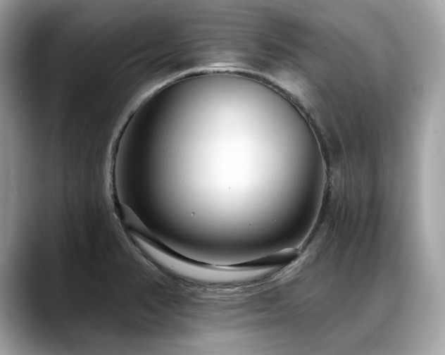 X0000088731374200705311421