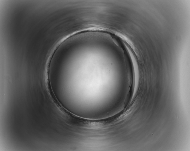 X0000088731375200705311421