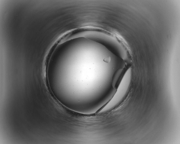 X0000088731376200705311421