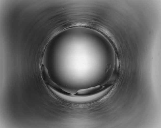 X0000088731377200705311421