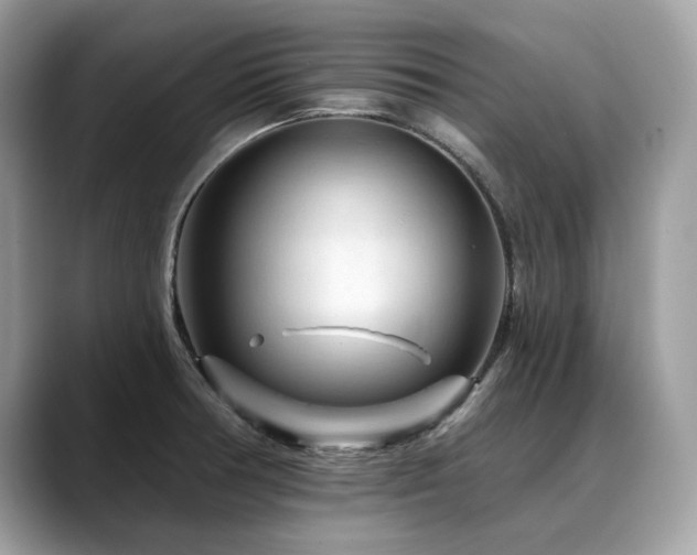 X0000088731378200705311421