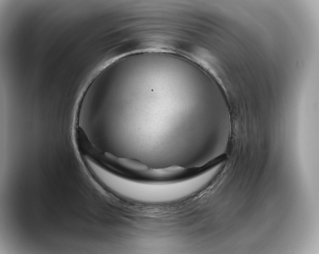 X0000088731379200705311421