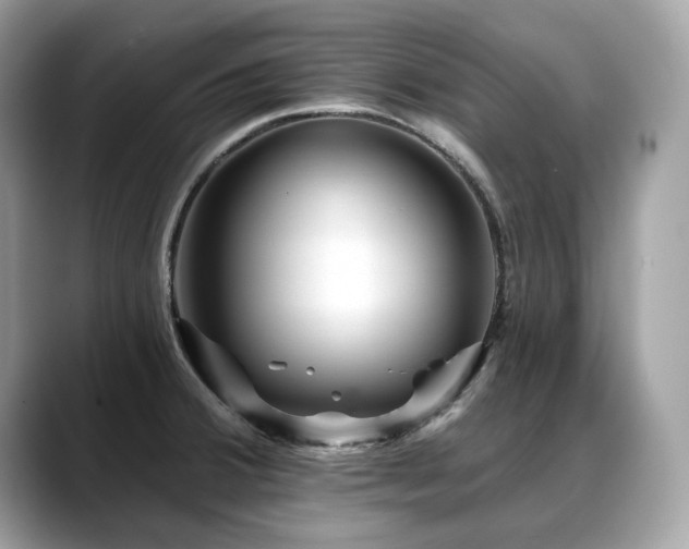 X0000088731380200705311421