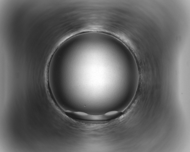 X0000088731382200705311421
