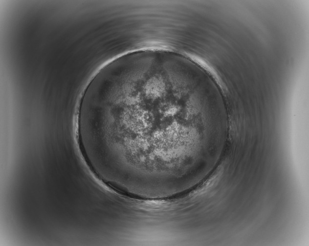 X0000088731383200705311421