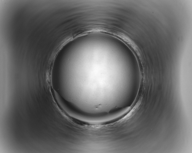 X0000088731385200705311421