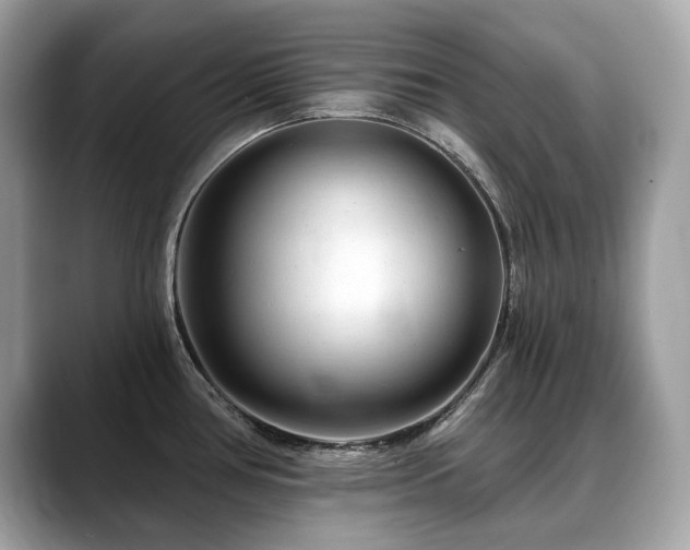 X0000088731386200705311421