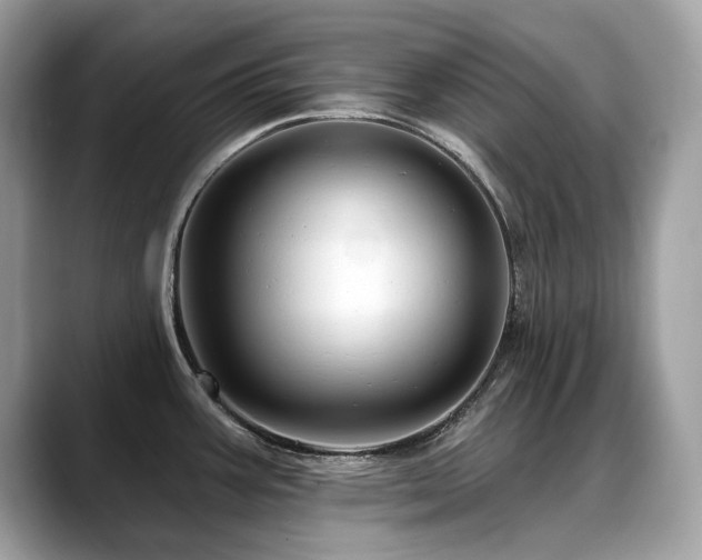 X0000088731387200705311421