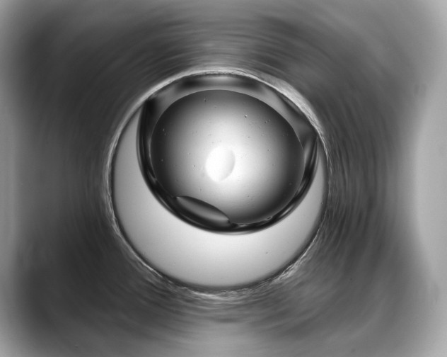 X0000088731388200705311421