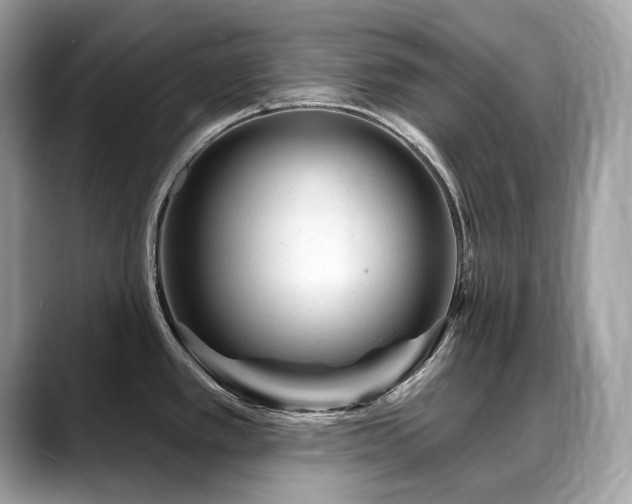 X0000088731389200705311421