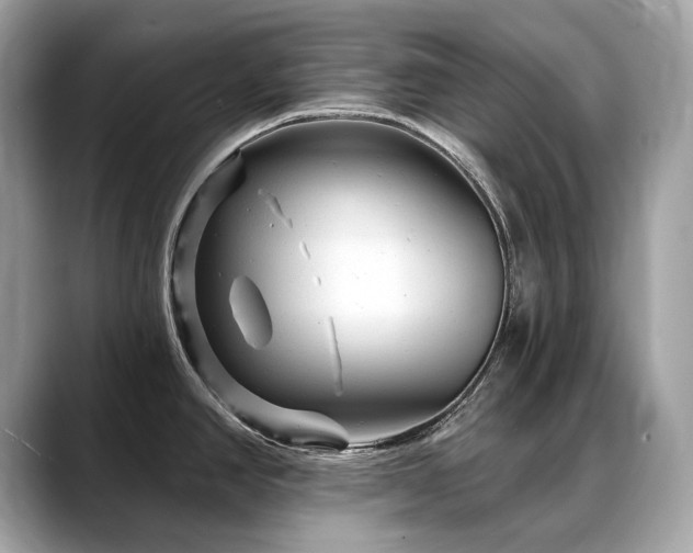 X0000088731390200705311421