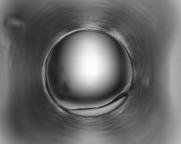 X0000088731391200705311421