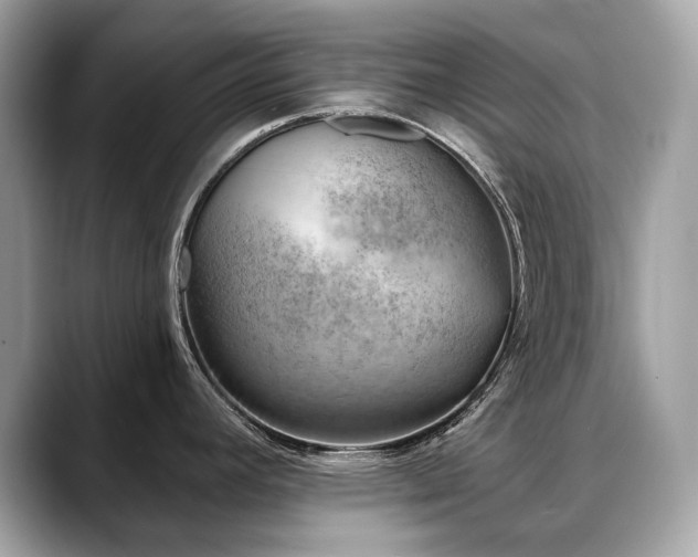 X0000088731392200705311421