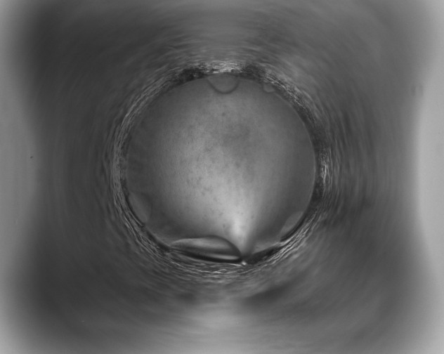 X0000088731393200705311420