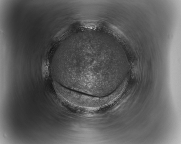X0000088731394200705311420