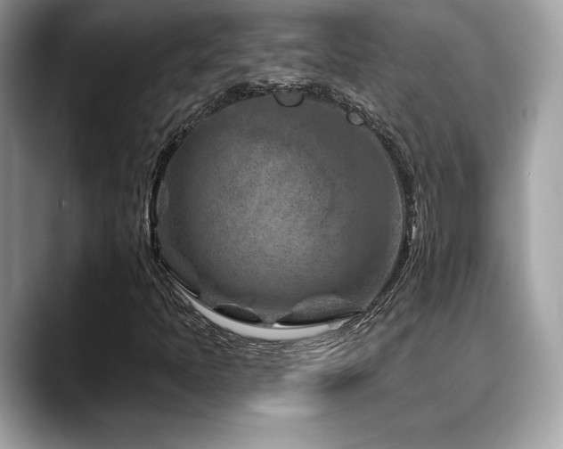 X0000088731397200705311420