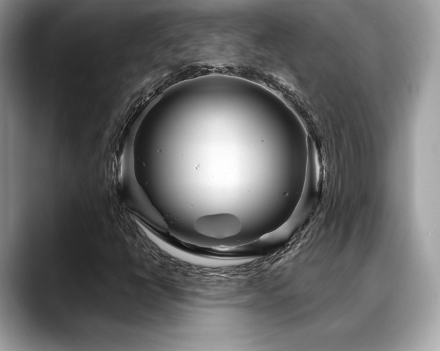 X0000088731398200705311420