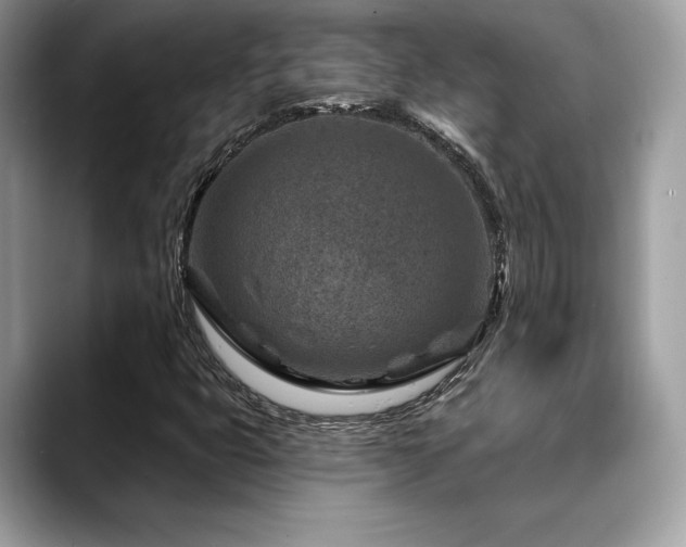 X0000088731399200705311420