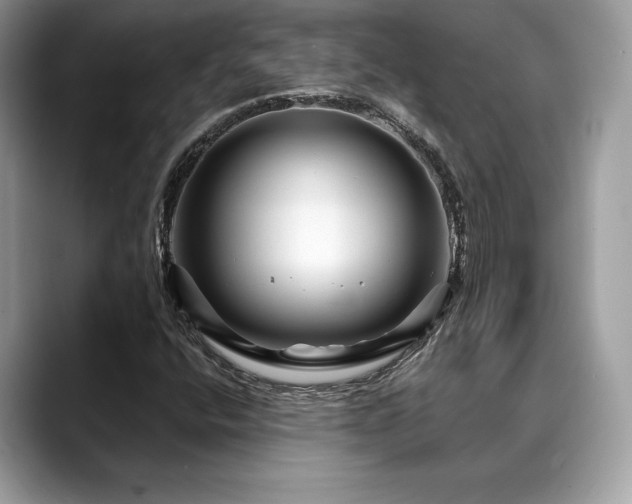 X0000088731400200705311420