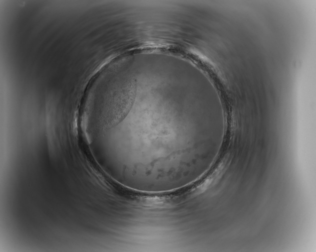 X0000088731401200705311420