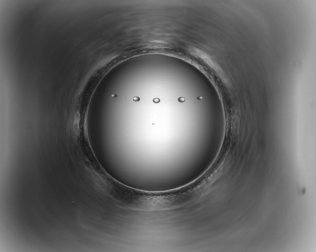 X0000088731402200705311420