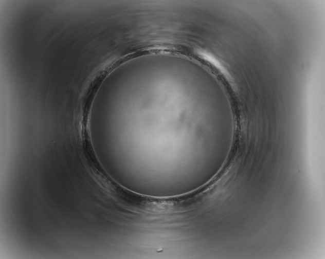 X0000088731403200705311420