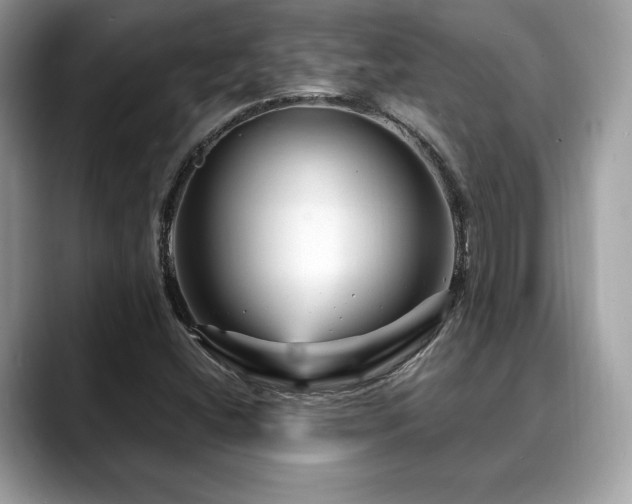 X0000088731404200705311420