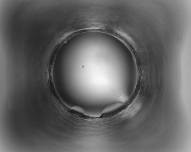 X0000088731407200705311420